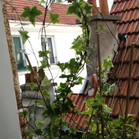 En Plein Cœur De *